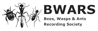 BWARS logo